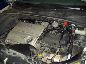Lexus RX330 - widok na silnik z LPG
